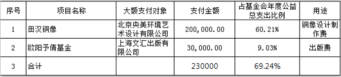 2020年重大公益慈善项目大额支付对象.png